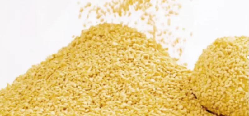 Xiaomi cat litter – bochenpet.com - Xiaomi Cat Litter 800x375 - wanghao.gwmmi.cn